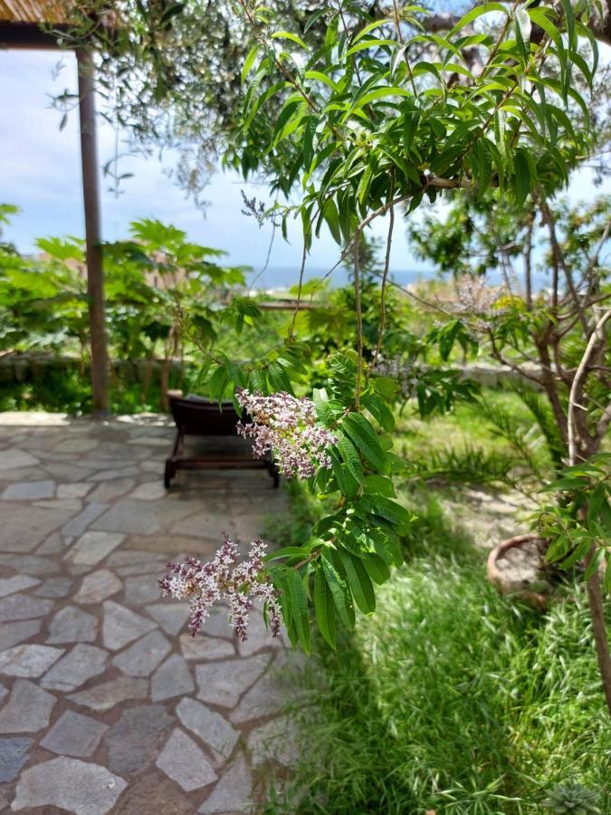 Villa Symphony Sea View Forio  Ngoại thất bức ảnh