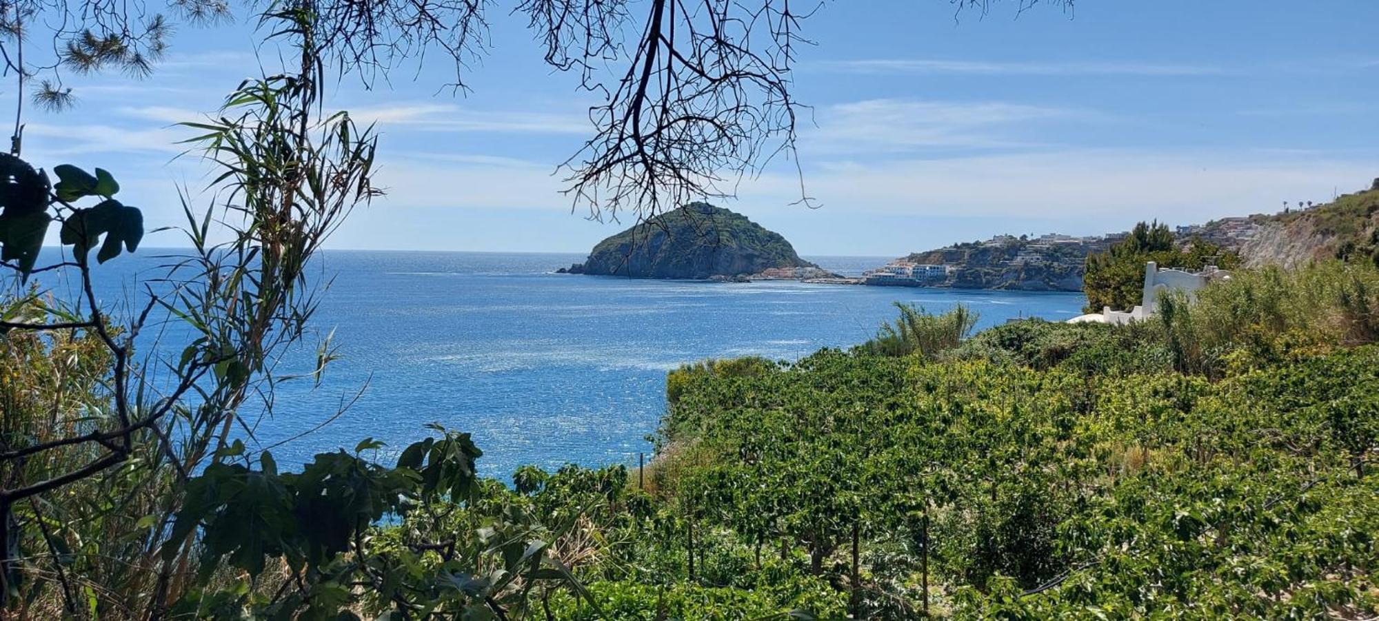 Villa Symphony Sea View Forio  Ngoại thất bức ảnh