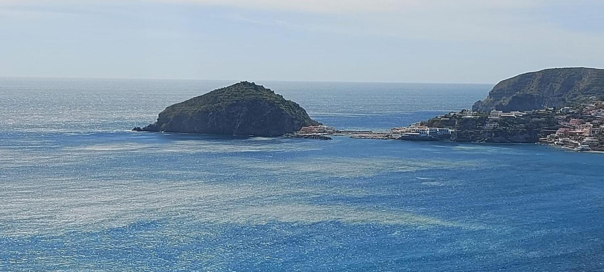 Villa Symphony Sea View Forio  Ngoại thất bức ảnh
